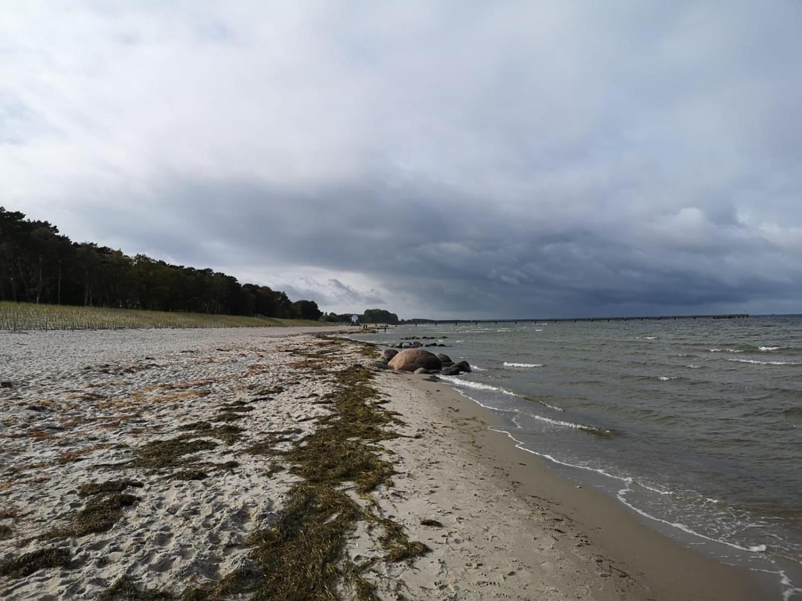 Ferienwohnungen "Weitblick" Und "Schwalbennest" Lodmannshagen Δωμάτιο φωτογραφία